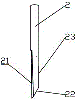 Multi-layered grafted tree and grafting method