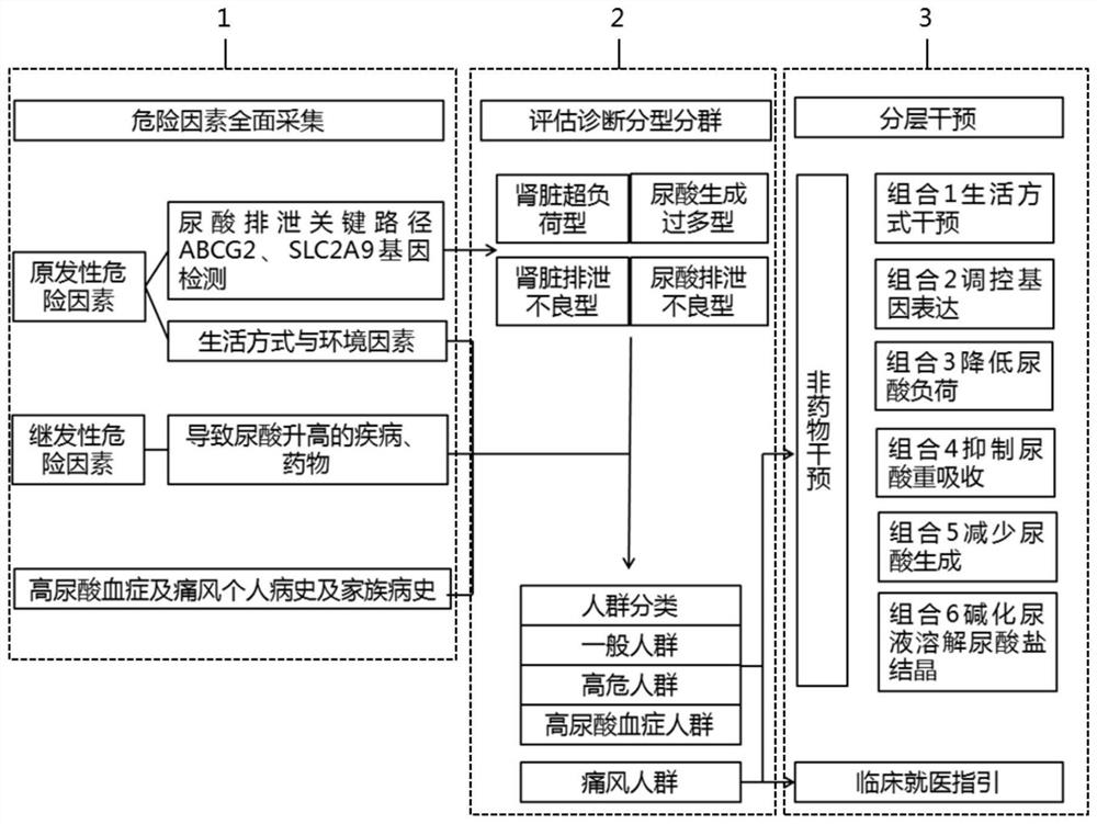 A non-drug targeted intervention system for hyperuricemia and gout based on molecular typing