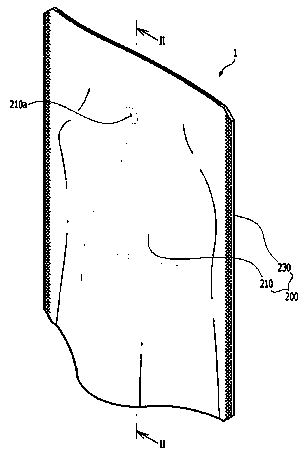 Bag for packaging fermented food