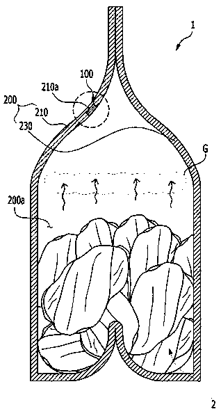 Bag for packaging fermented food