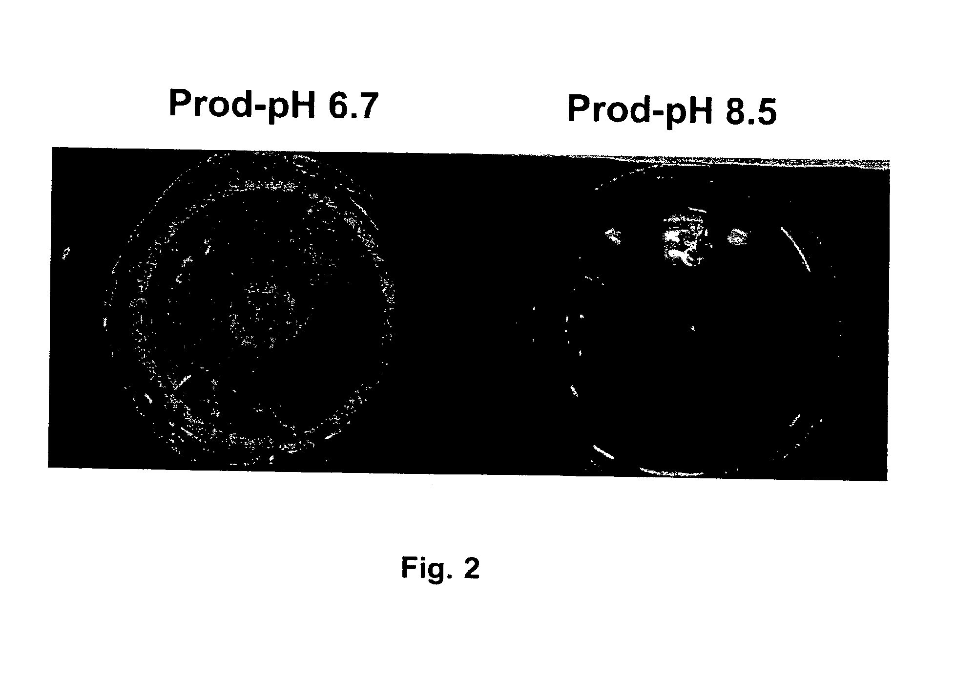 Low-carbohydrate milk with original calcium