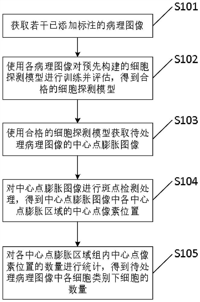 Cell detection method, device and equipment based on pathological image and storage medium