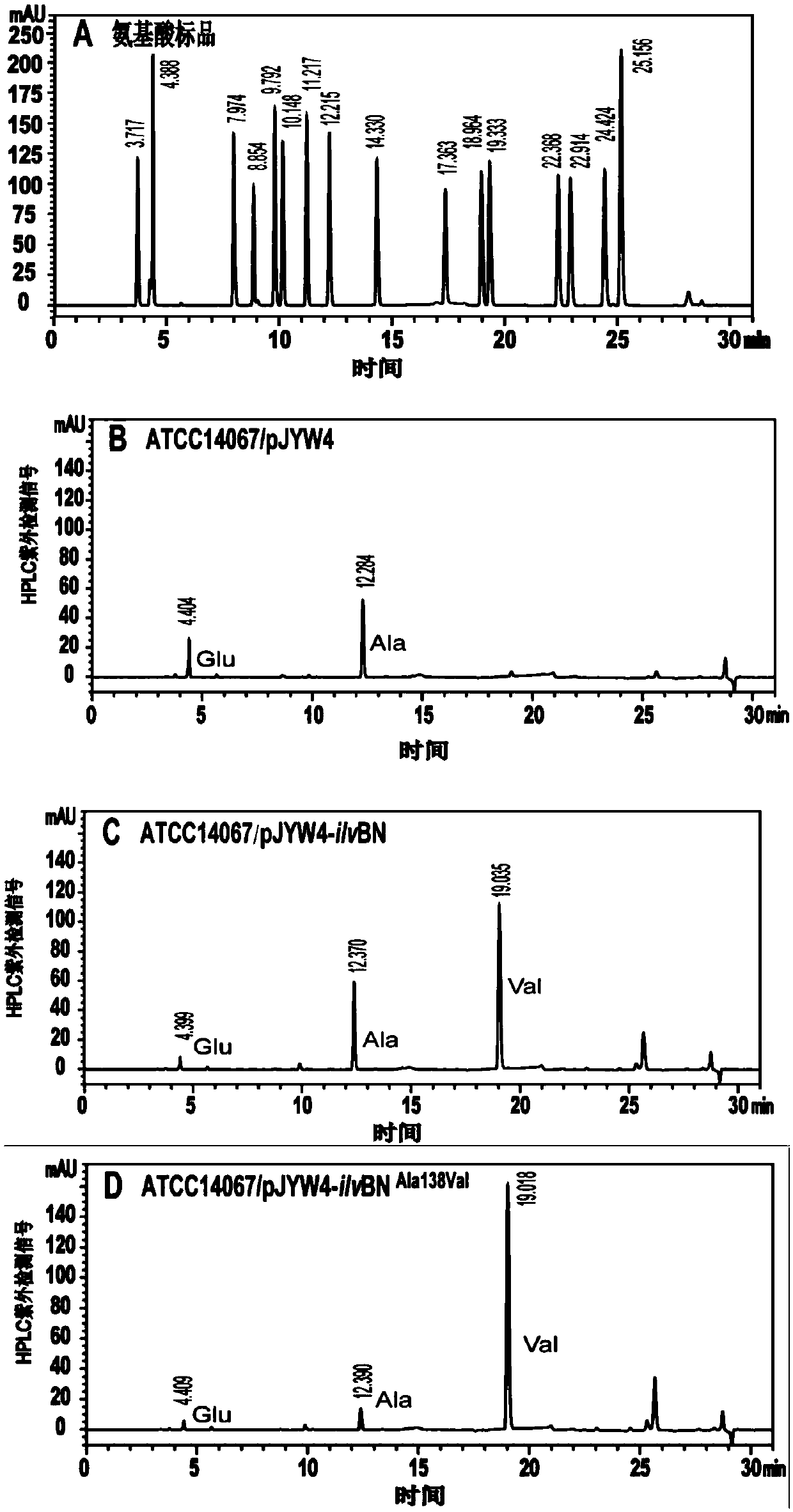 Acetohydroxyacid synthase mutant for improving L-valine synthesis efficiency