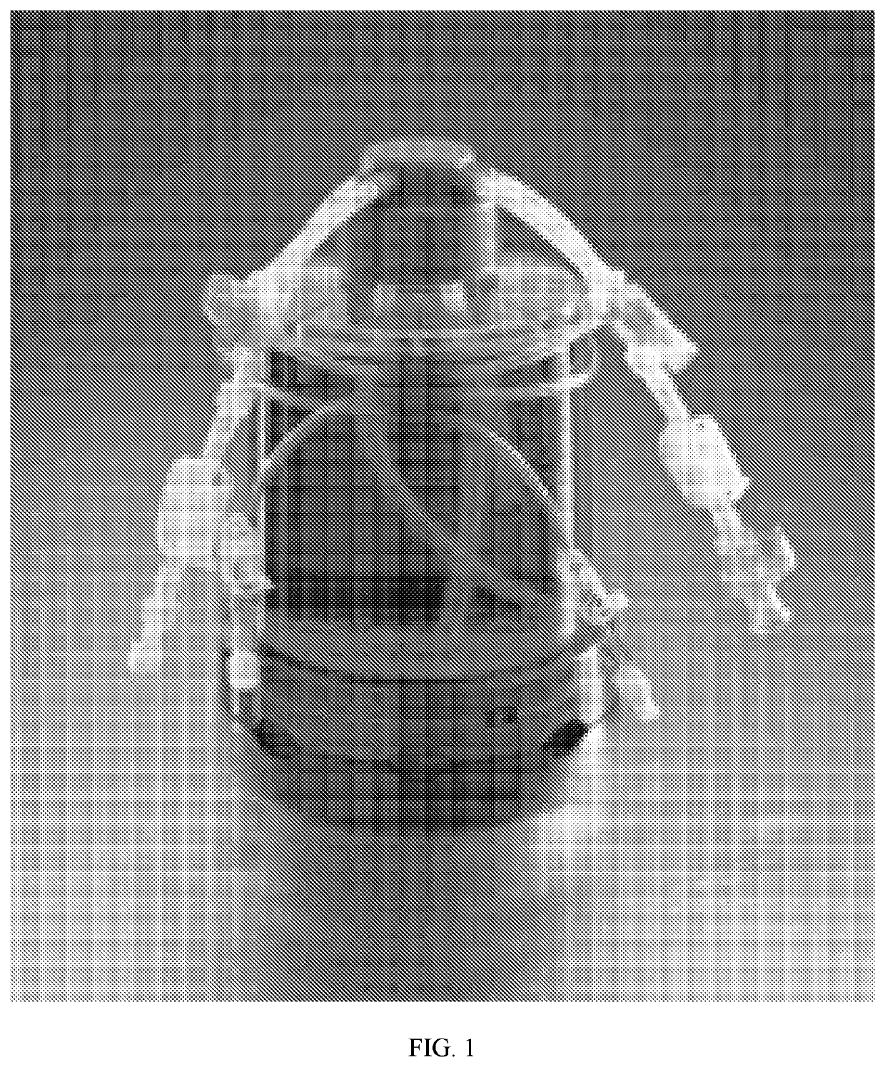 Closed-system manufacturing process for car-t cells