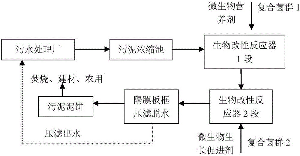 Biological modification method for sludge deep dewatering