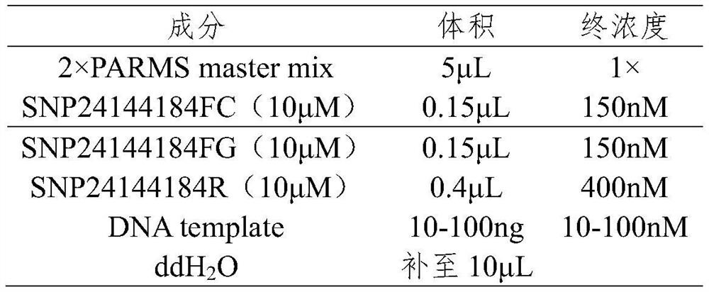 SNP molecular marker related to hypoxia resistance trait of Trachinotus ovatus and application of SNP molecular marker