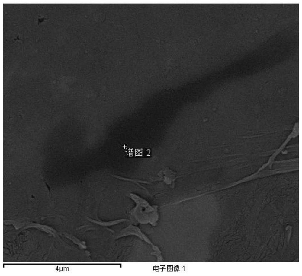 Quantitative characterization method and application of rapid determination of organic matter pores based on scanning electron microscopy