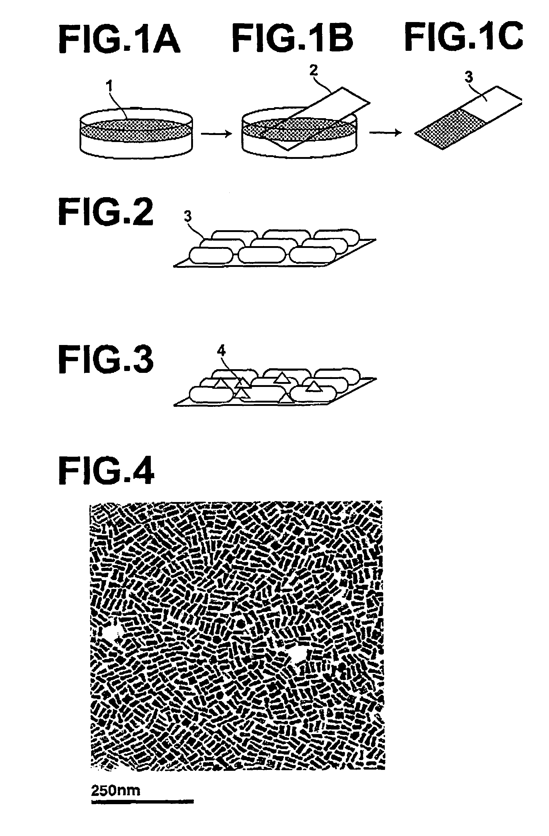 Fine structure body, process for producing the same, and Raman spectroscopic method and apparatus