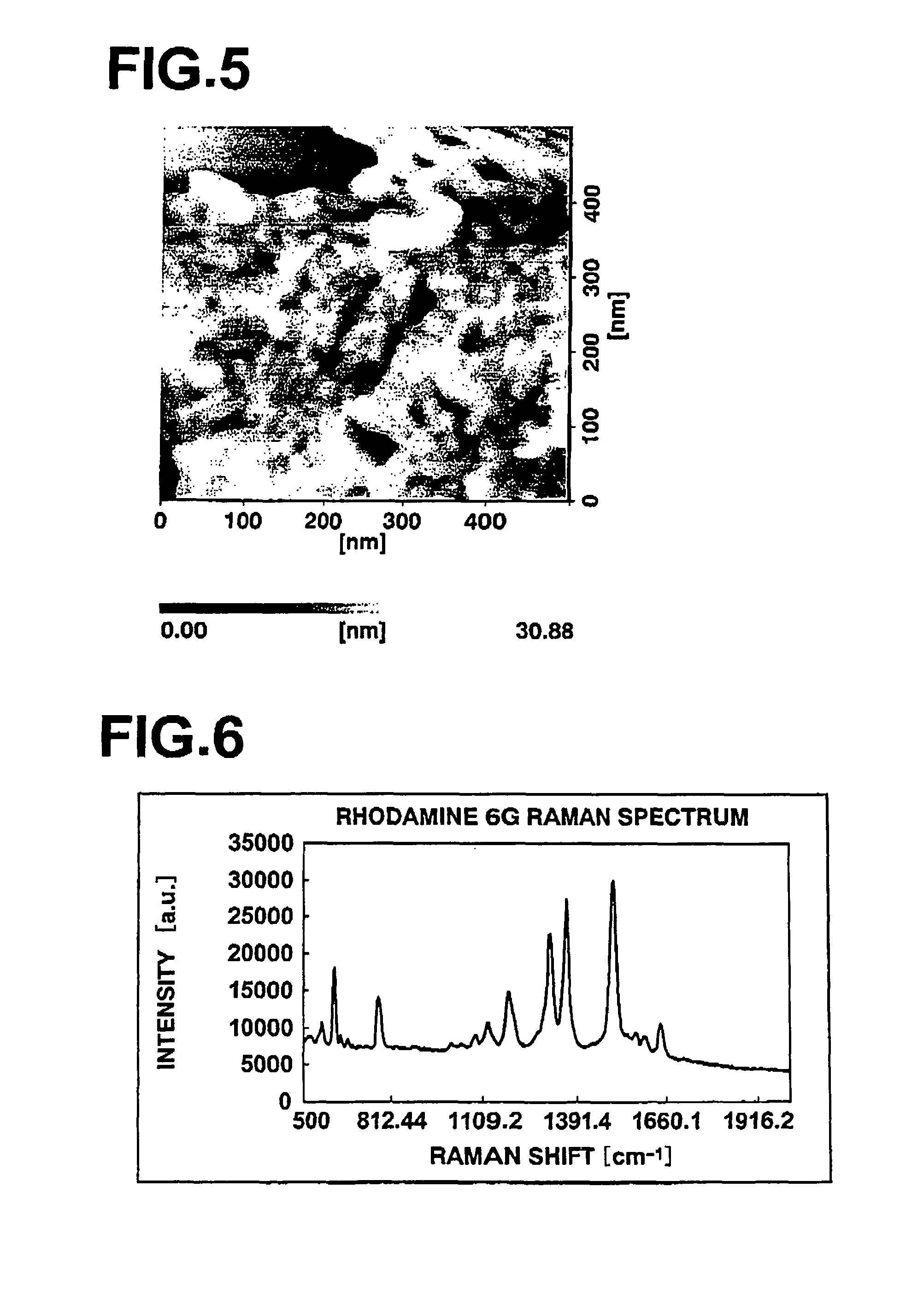 Fine structure body, process for producing the same, and Raman spectroscopic method and apparatus