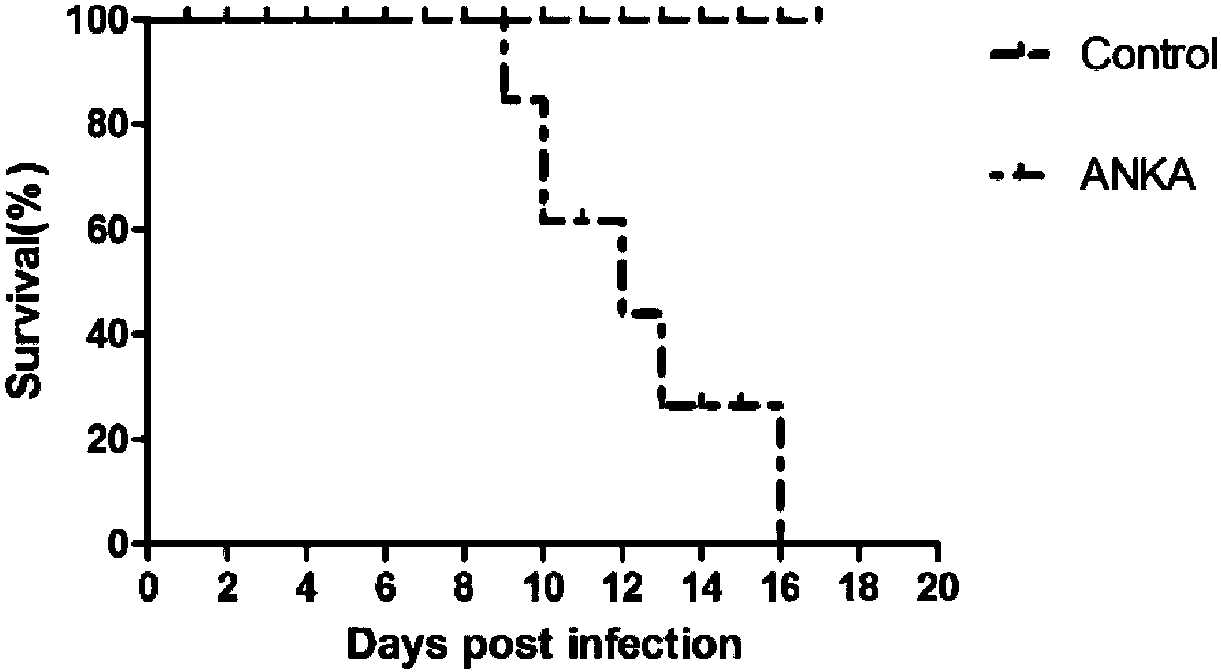 Medicine composition for treating malaria