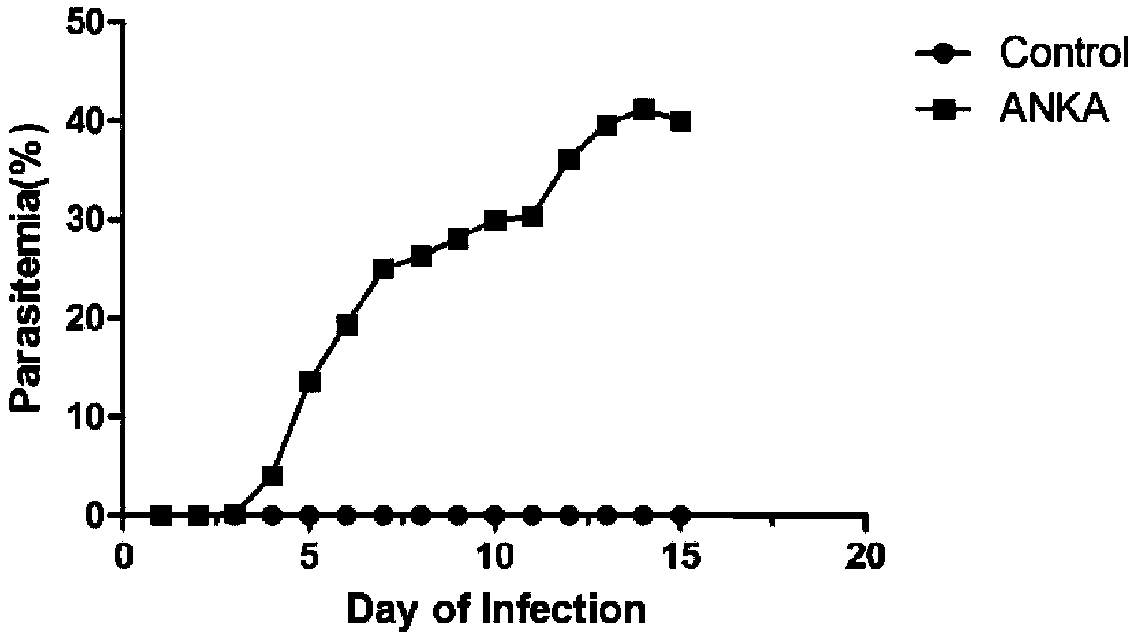 Medicine composition for treating malaria