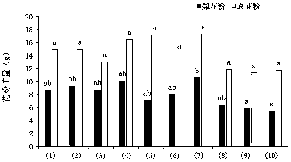 Inducer for improving pear blossom pollen collection efficiency of bees and induction method