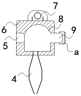 Terminal with graphic processing function