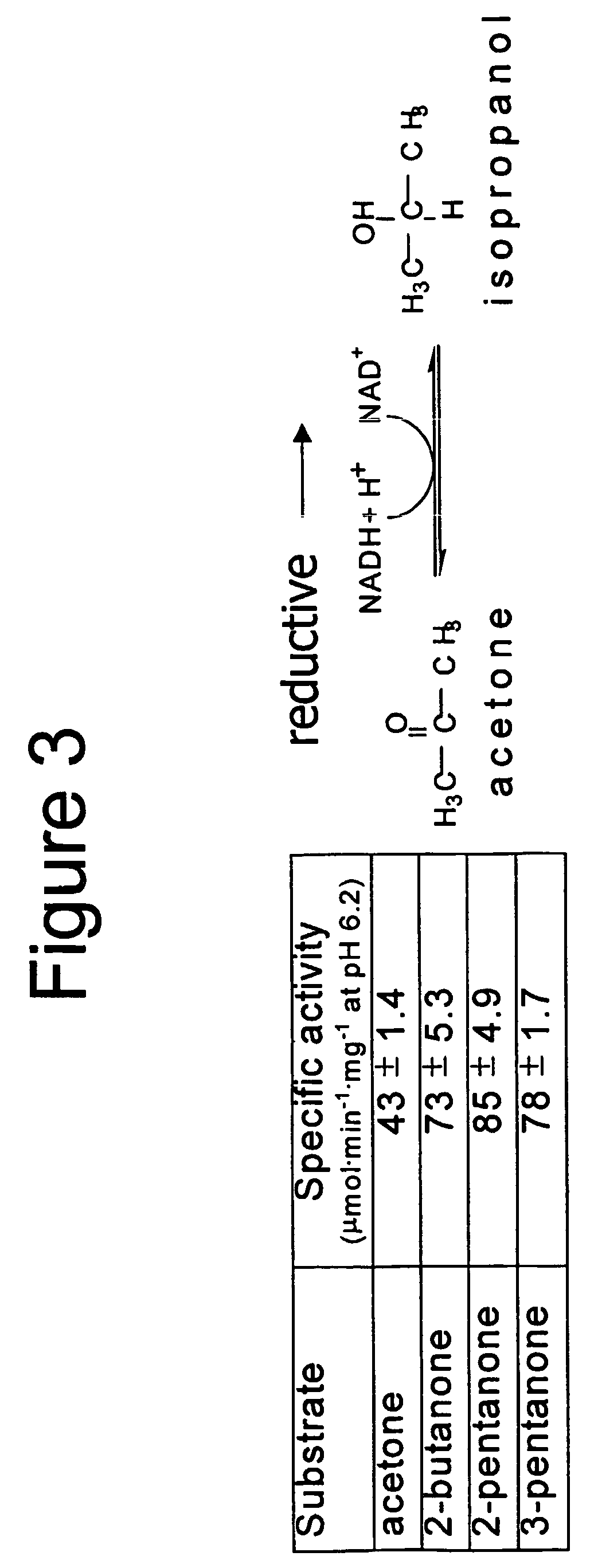 Enzyme-based system and sensor for measuring acetone