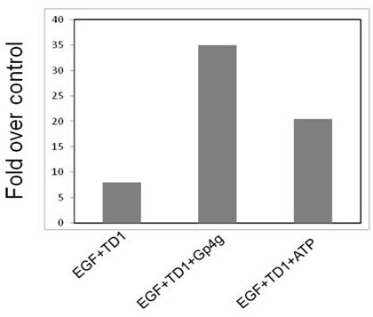 A composition for promoting transdermal absorption and its application