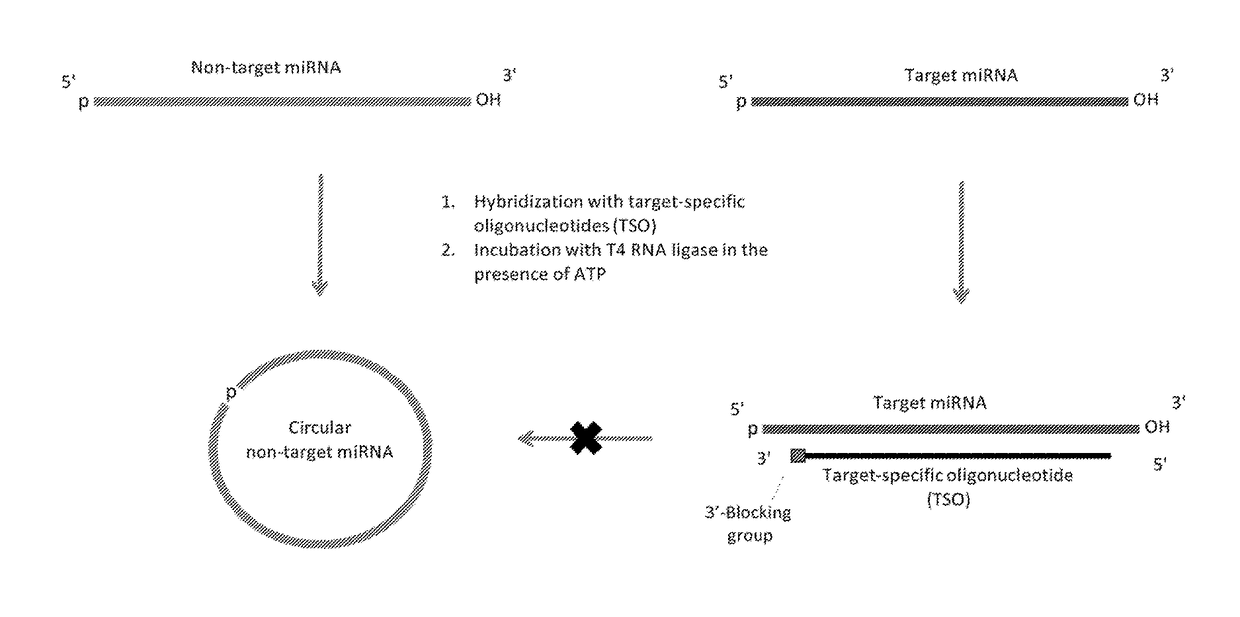 Methods of constructing small RNA libraries and their use for expression profiling of target RNAs