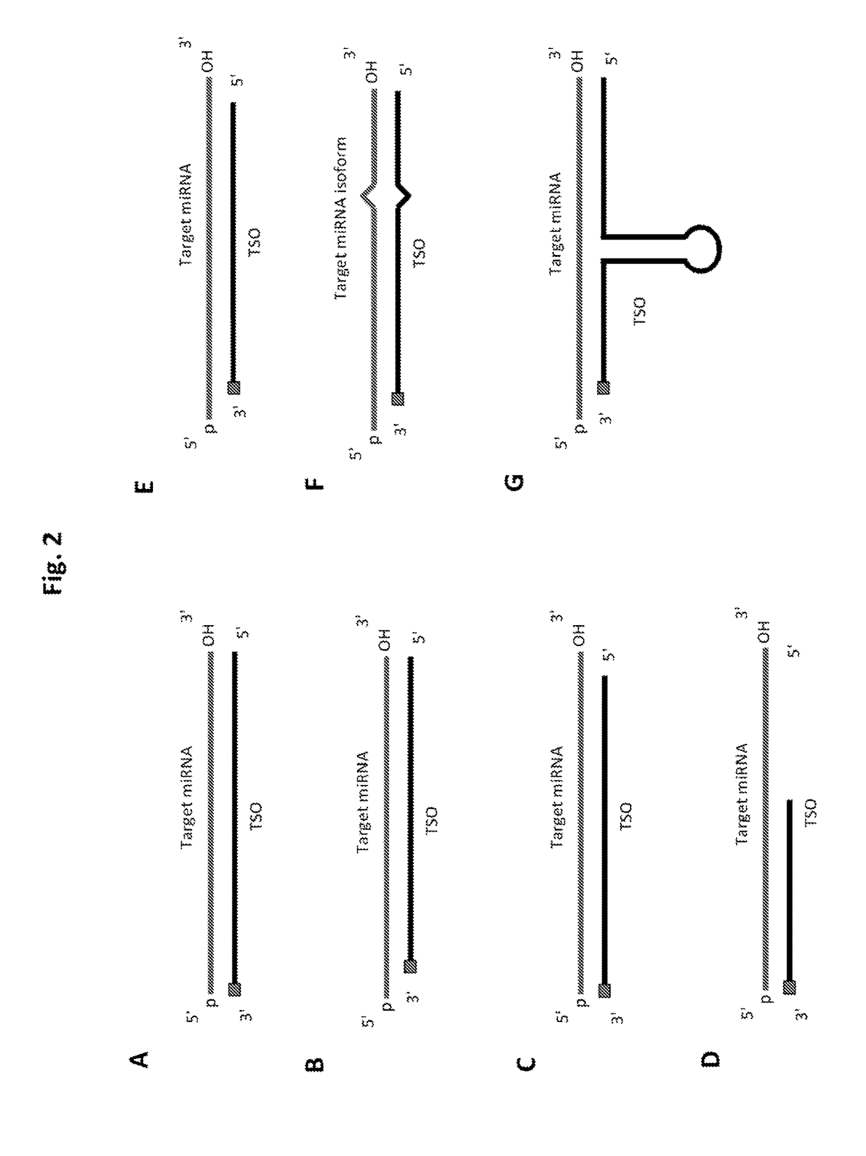 Methods of constructing small RNA libraries and their use for expression profiling of target RNAs