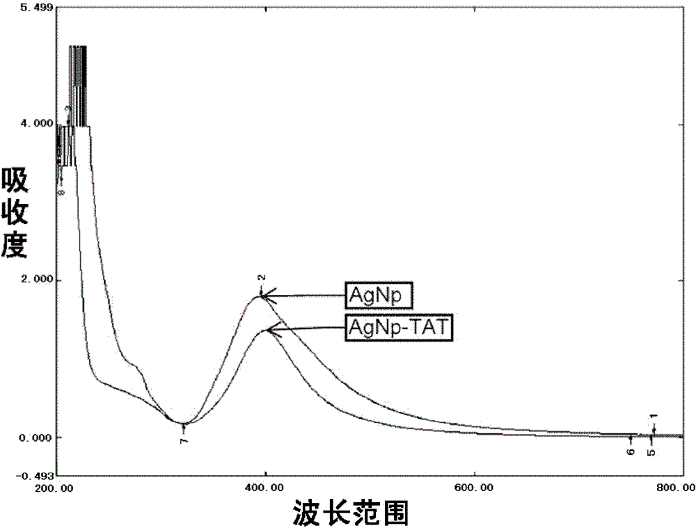 Biological active peptide modified nano-silver and preparation method and applications thereof