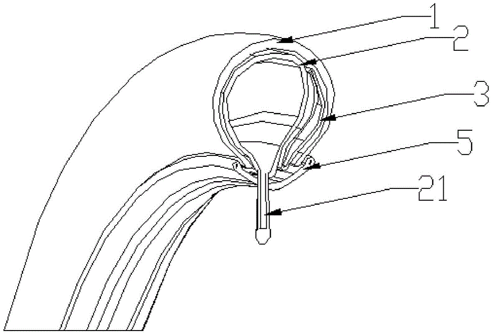 Dual-inner-tube tire and vehicle provided with same
