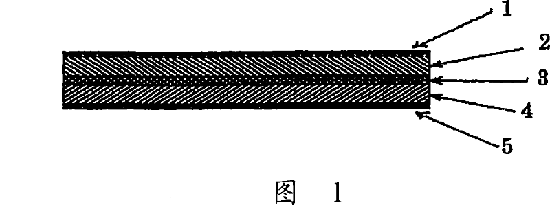 Lithium ion secondary battery and a solid electrolyte thereof