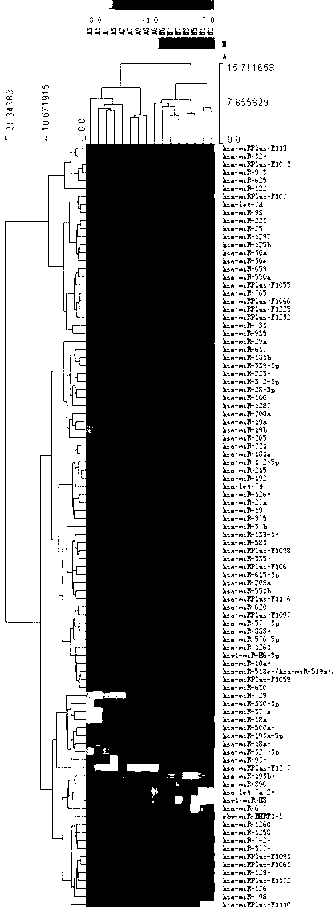 Method for screening and identifying spinocerebellar ataxia type 3 (SCA3)/Machado-Joseph disease (MJD) molecular marker MicroRNAs (miRNAs) capable of regulating and controlling expression of ATXN3 gene