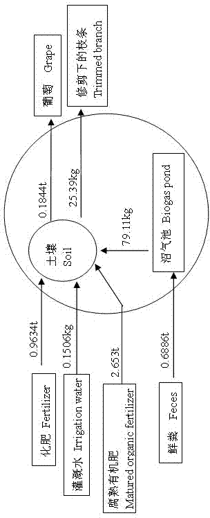 Dairy cow ecological breeding model with combination of farming and animal husbandry