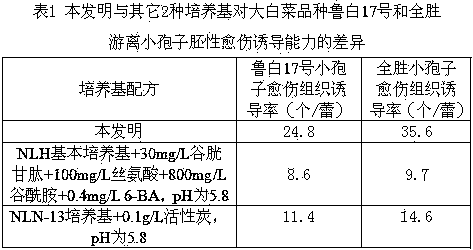 A kind of Chinese cabbage free microspore induction medium formula