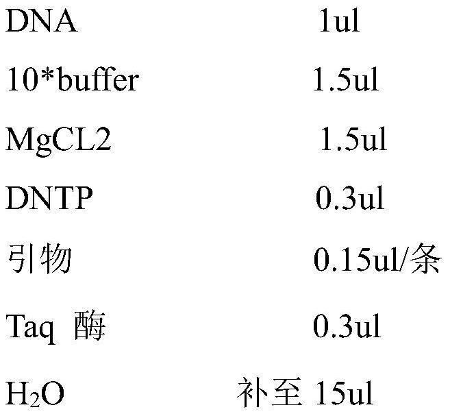 Kit for detecting onset risk of low-grade non-muscular invasive bladder cancer