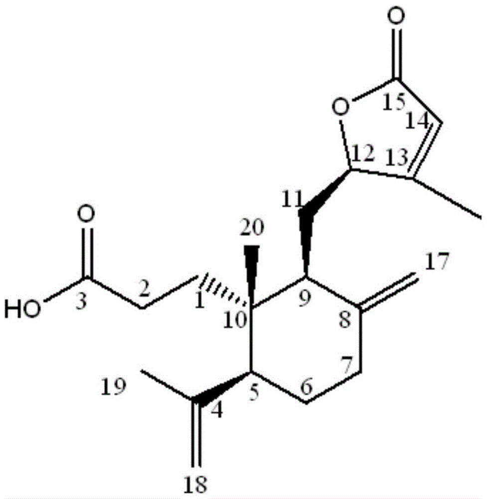 A class of 3,4-secessed helianthin-type diterpenoids, its preparation method and application