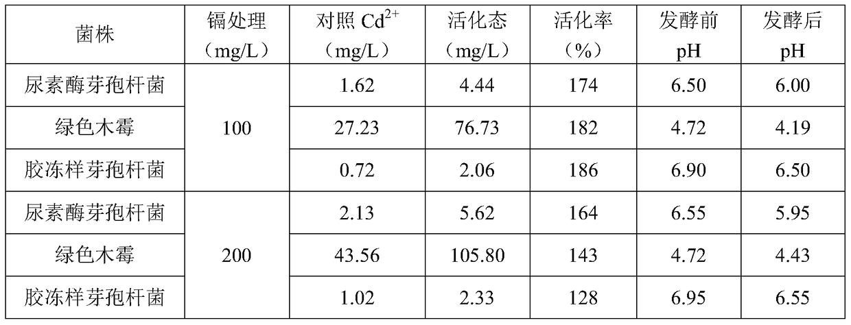 A soil heavy metal activating bacterial agent and its preparation method and application