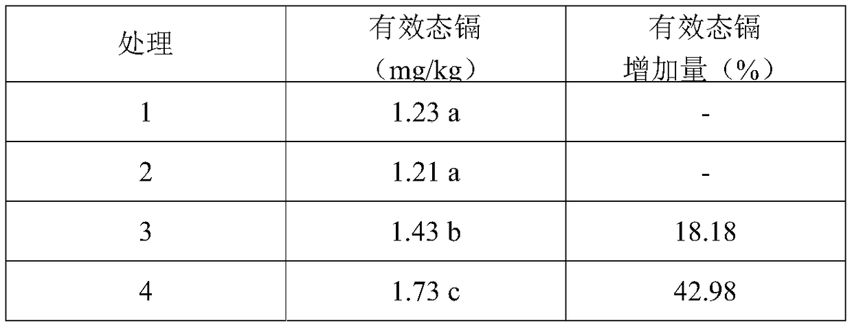 A soil heavy metal activating bacterial agent and its preparation method and application