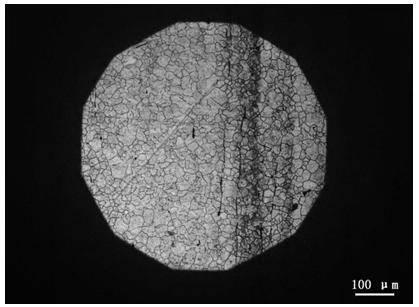 Displaying method of hot-rolled product austenite grains