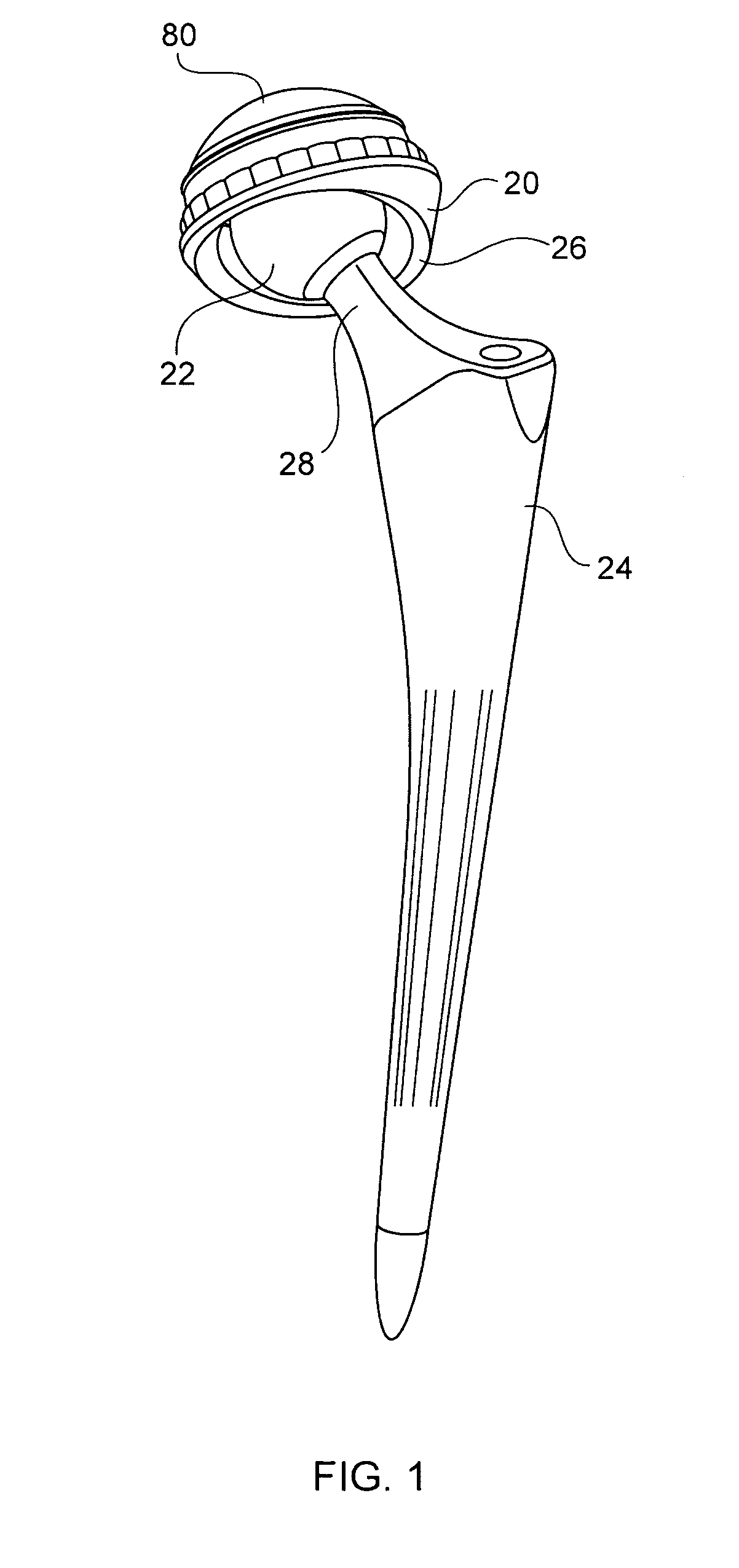 Variable geometry rim surface acetabular shell liner