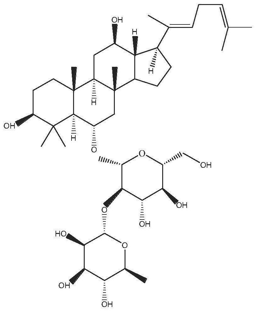 A ginsenoside composition capable of preventing and treating alcoholic fatty liver