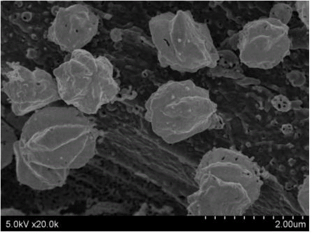 Preparation method for hollow silver sulfide microspheres