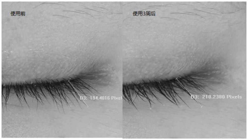 Composition for repairing eyelashes and application thereof
