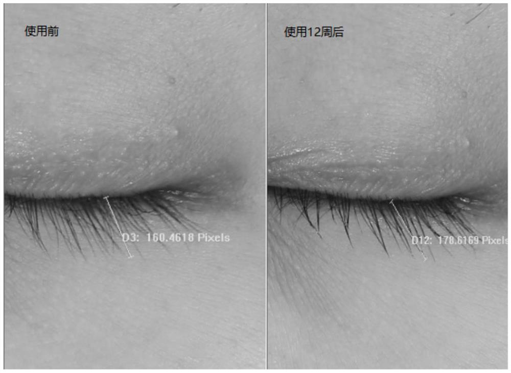 Composition for repairing eyelashes and application thereof