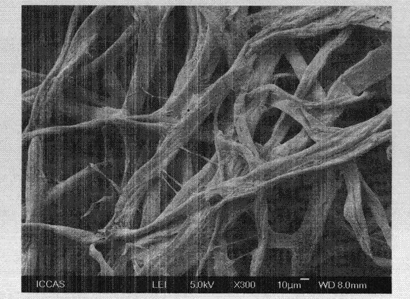 Cellulose base/Fe3O4 composite adsorption material used for removing arsenic in water and preparation method thereof
