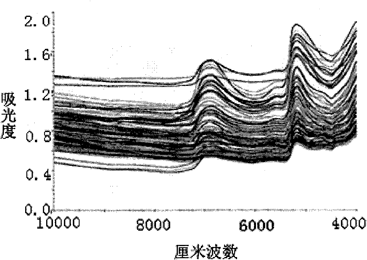 Nondestructive testing method for quality of compost products