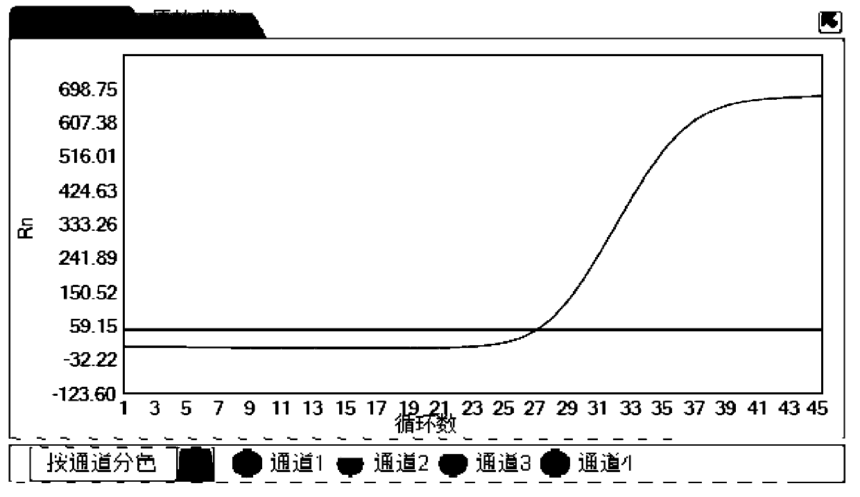 Composition, kit and method for detecting and typing viruses causing respiratory tract infection and application of composition, kit and method