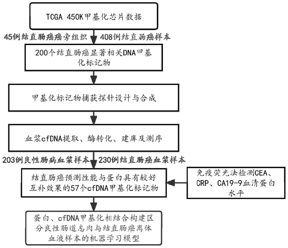 Marker composition for colorectal cancer detection and application thereof