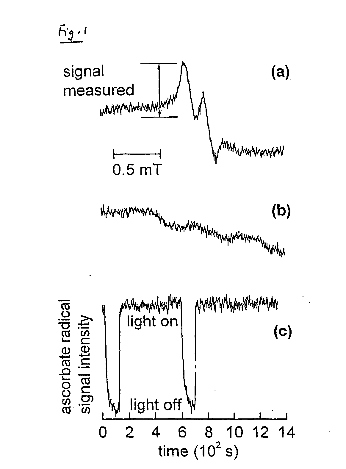 Method and apparatus for determining effectiveness of sunscreens and other skin preparations in shielding human skin from uva radiation