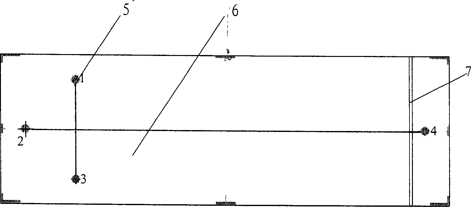 Capillary electrophoresis chip integrated with electrochemical detection electrode made by hot pressing method