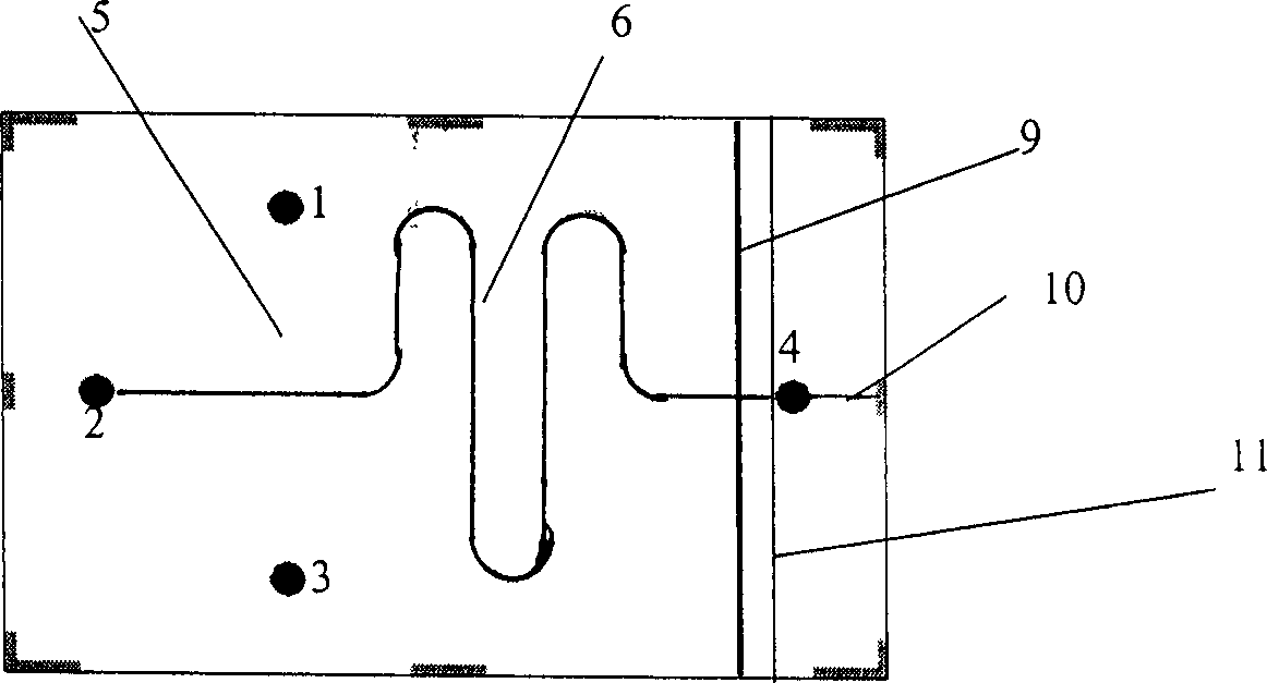 Capillary electrophoresis chip integrated with electrochemical detection electrode made by hot pressing method