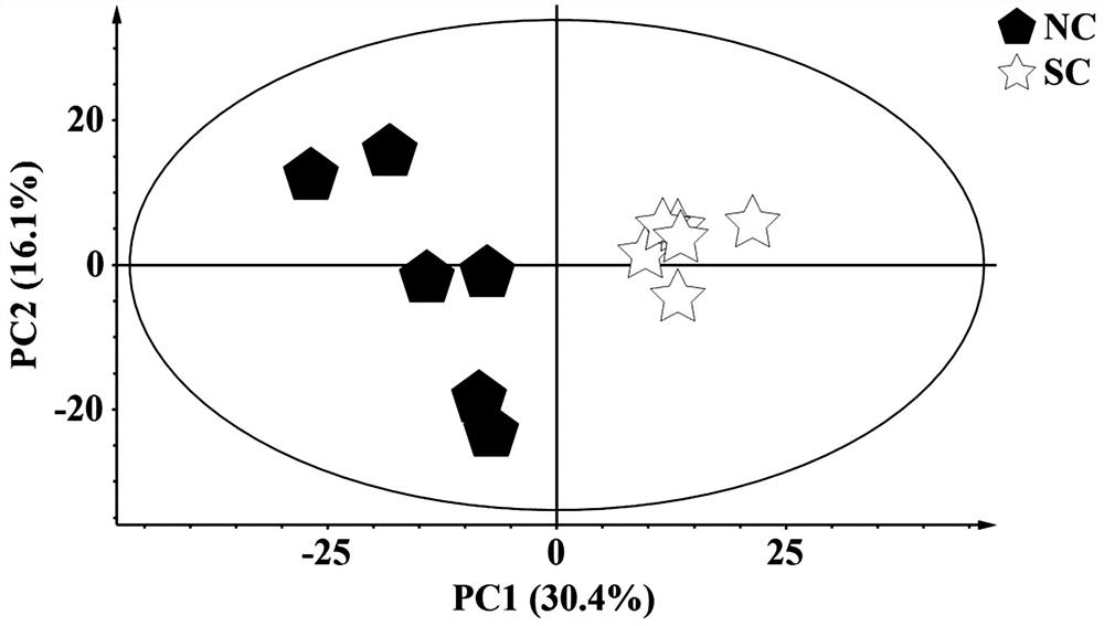 Construction and use of an animal model of senile constipation