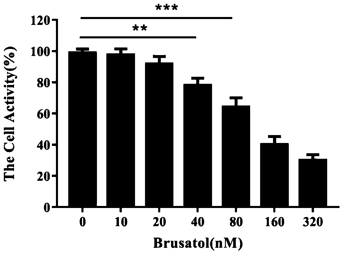 Application of brusatol in preparing medicament for preventing or/and treating inflammatory diseases