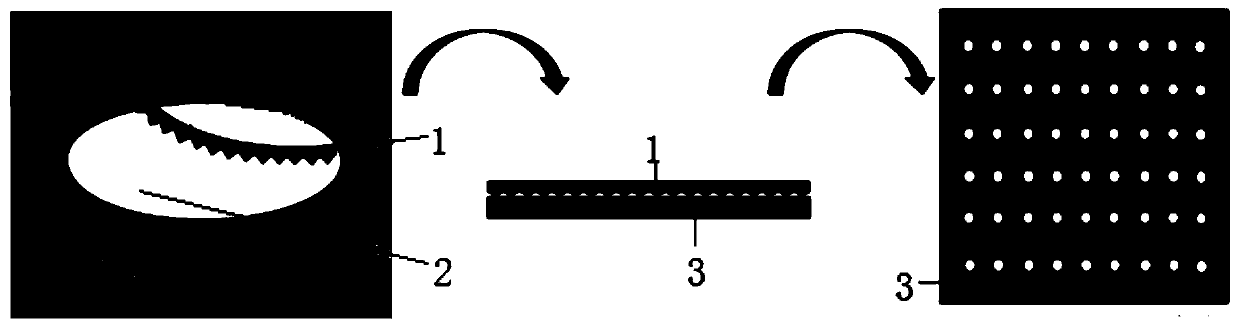 A high-temperature speckle and its controllable preparation method