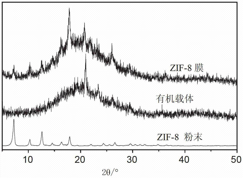 Method for preparing metal organic framework film