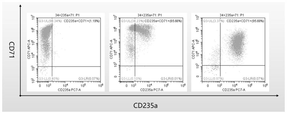 Culture medium and culture method for induced differentiation of CD34+ umbilical cord blood mononuclear cells