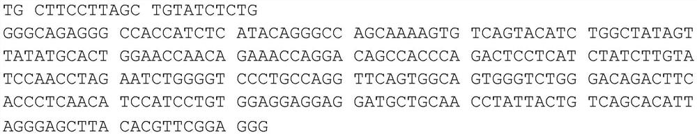 Anti-human CXCL-2 monoclonal antibody 3-D3 as well as coding gene and application thereof